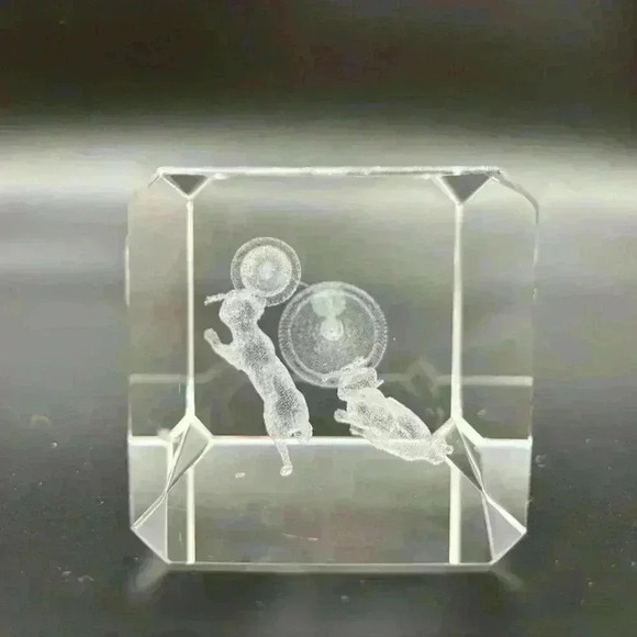 Vintage Cat Bird Cage Bubblegram 3D Laser Etched Glass Paperweight - Picture 2 of 3